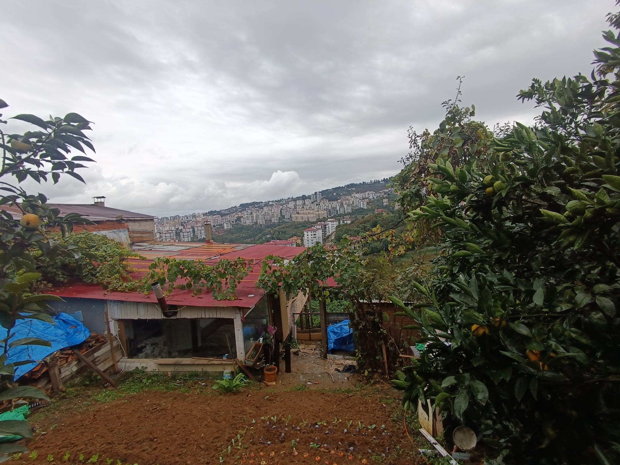 KARŞIKAHA MAH SATILIK ARSA